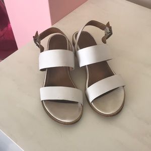 Seychelles Gallivant sandals